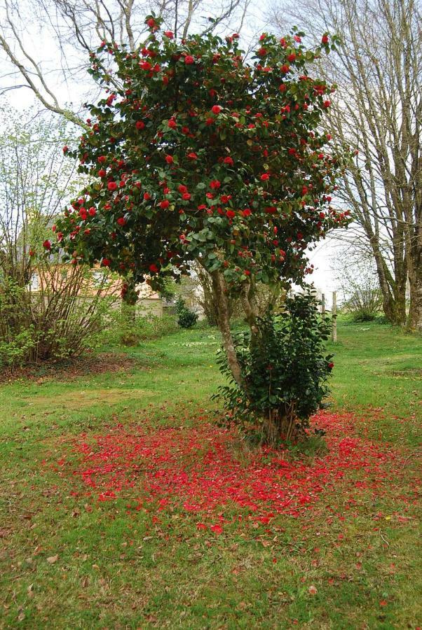 Vallee Des Ardoisieres Mael-Carhaix 外观 照片